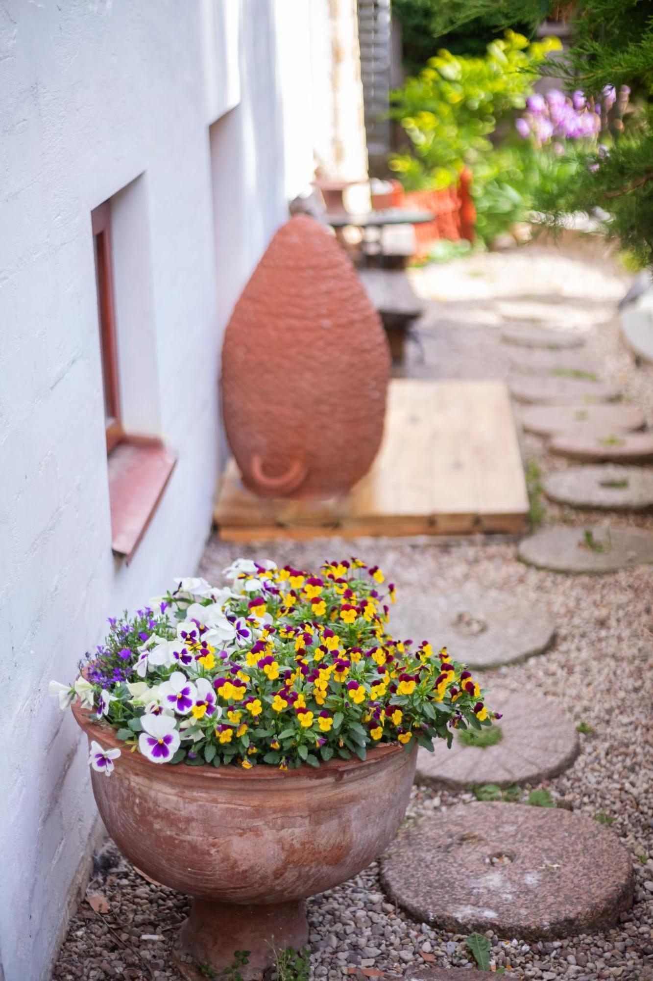Bed and Breakfast House Of Sun Аеропорт Вільнюс Екстер'єр фото